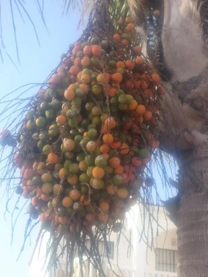 Casa Paraiso 贝纳哈拉菲 0*,