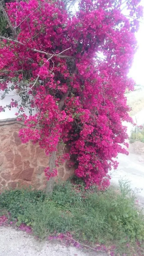 度假居 Casa Paraiso 贝纳哈拉菲